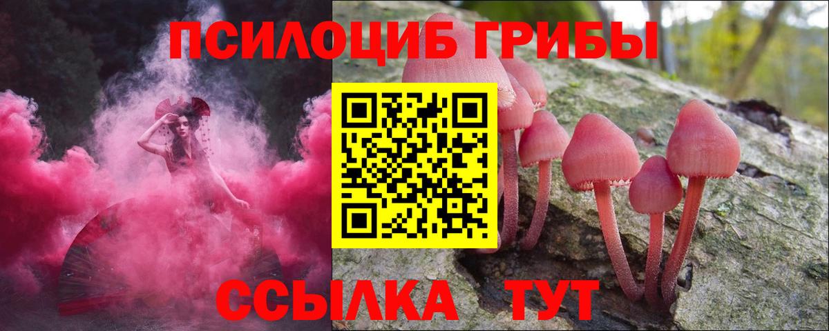 Галлюциногенные грибы GOLDEN TEACHER Коломна